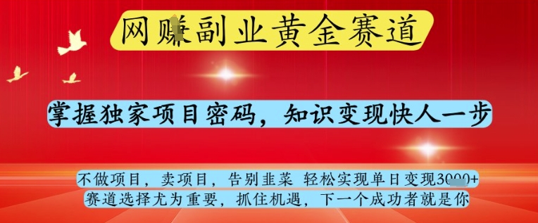 网创副业黄全赛道,掌握独家项目密码,知识变现快人一步,告别韭菜轻松实现单日变现1k+【揭秘】-腾哥精选