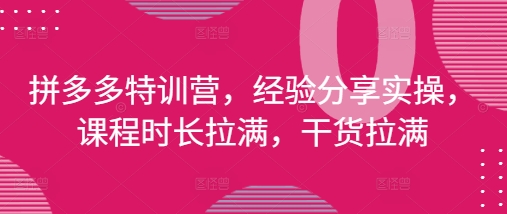 拼多多特训营,经验分享实操,课程时长拉满,干货拉满(更新25年4月)-腾哥精选