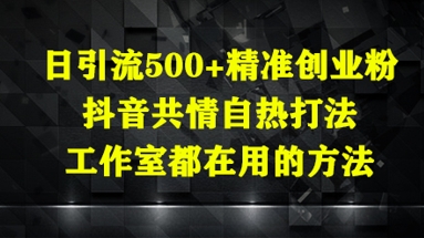 日引流500+精准创业粉,抖音共情自热打法,工作室都在用的方法-腾哥精选