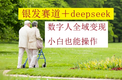 银发赛道+deepseek数字人全域变现,小白也能操作-腾哥精选