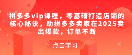 拼多多vip课程，零基础打造店铺的核心秘诀，助拼多多卖家在2025卖出爆款，订单不断-腾哥精选
