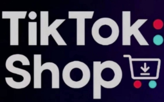 TikTokShop跨境电商0-1实战,手把手教你低成本启动海外市场(更新)-腾哥精选