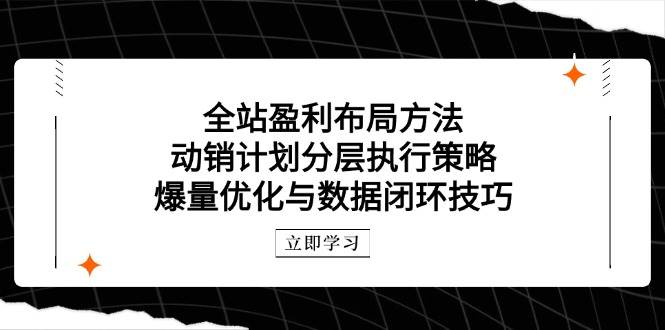 (14698期)全站盈利布局方法:动销计划分层执行策略,爆量优化与数据闭环技巧-腾哥精选