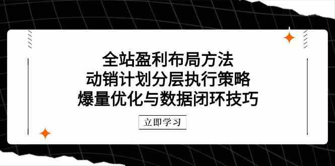 全站盈利布局方法:动销计划分层执行策略,爆量优化与数据闭环技巧-腾哥精选